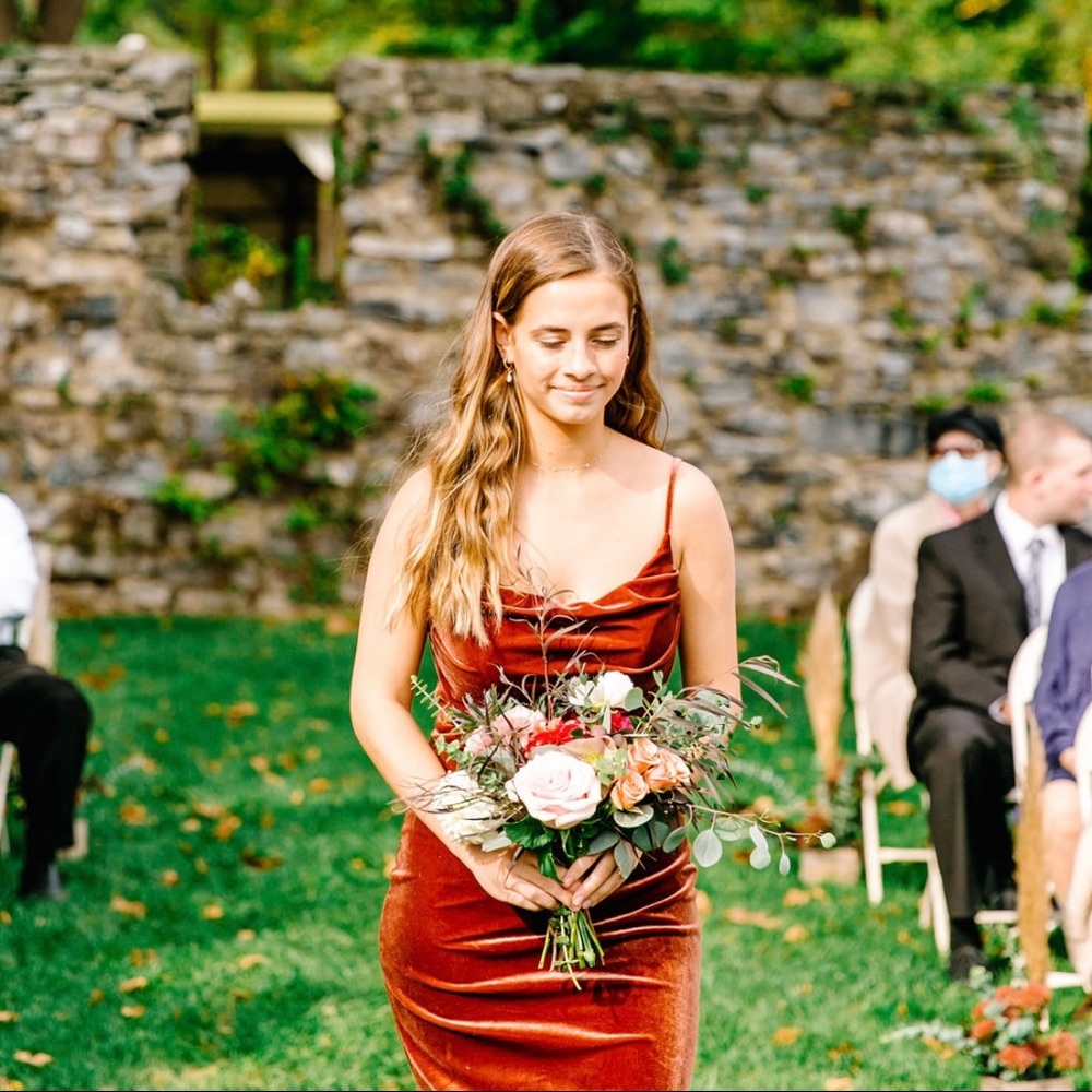 Revelry Velvet Terracotta dress